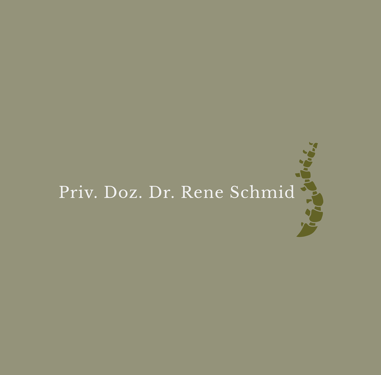 Schmid Logo